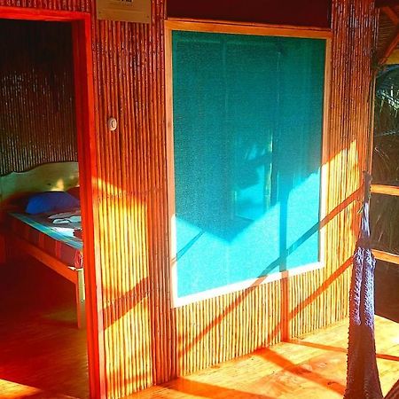 Encanto Lodge Drake Bay Ngoại thất bức ảnh