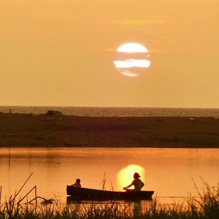 Encanto Lodge Drake Bay Ngoại thất bức ảnh