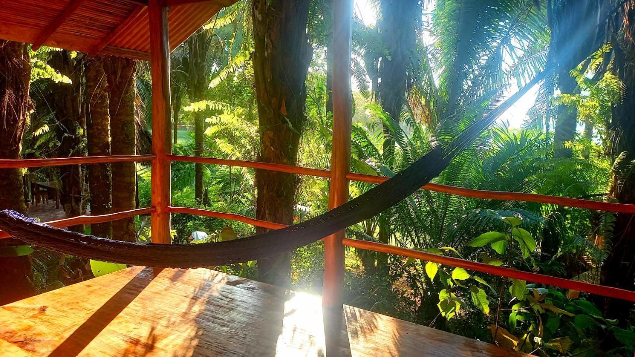 Encanto Lodge Drake Bay Ngoại thất bức ảnh