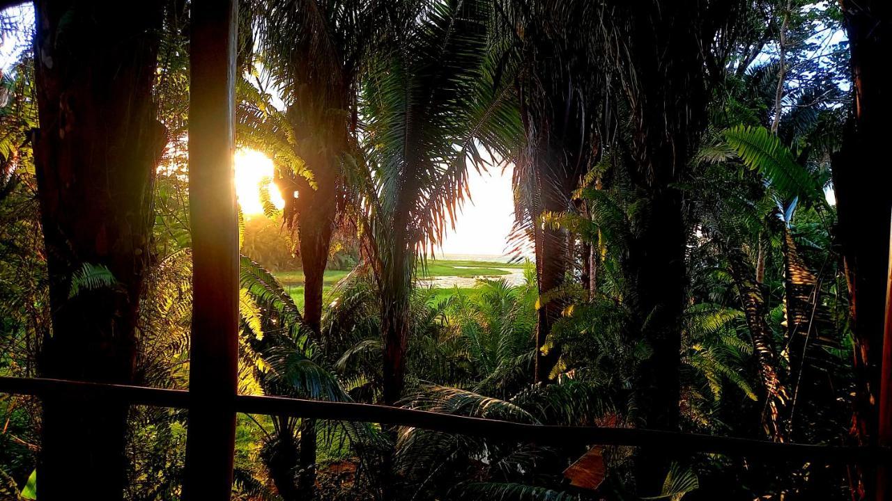 Encanto Lodge Drake Bay Ngoại thất bức ảnh