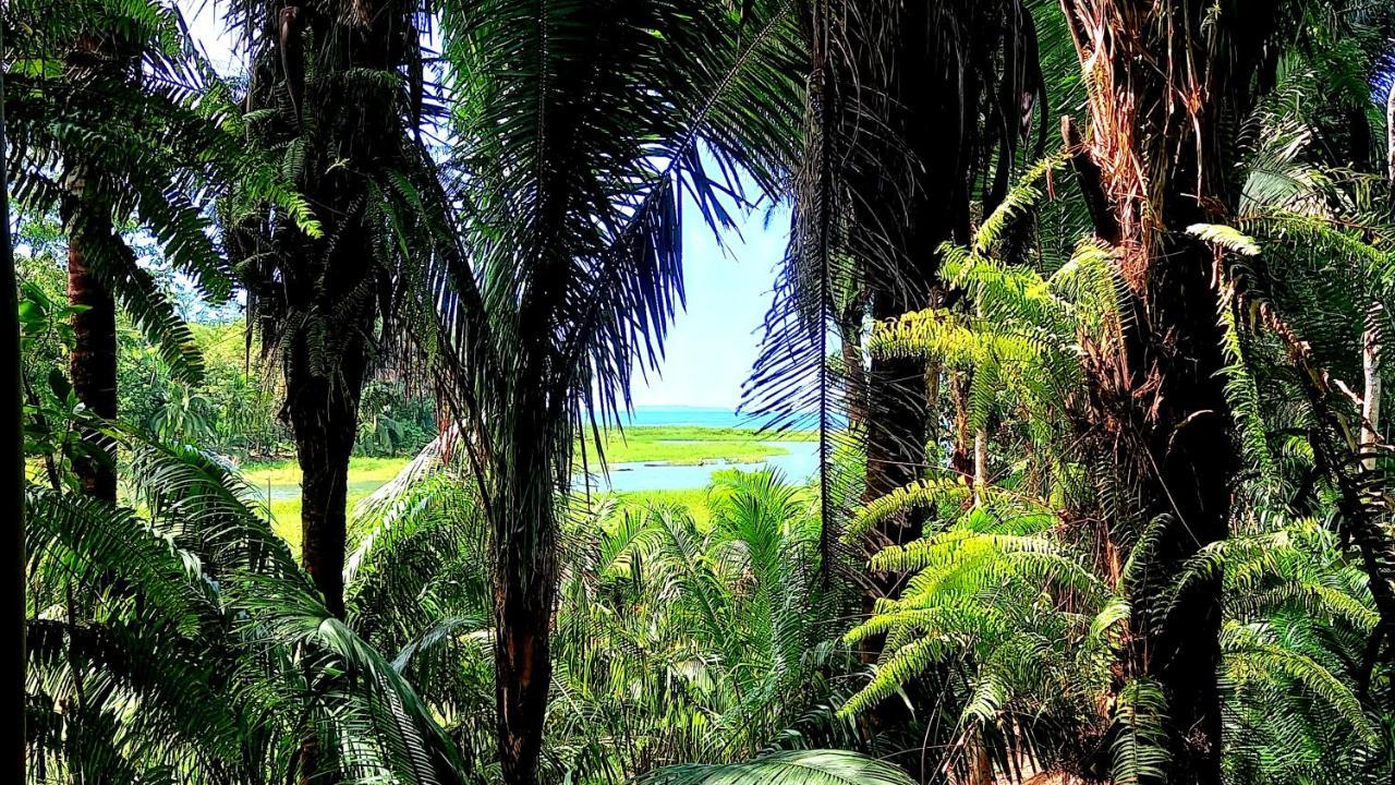 Encanto Lodge Drake Bay Ngoại thất bức ảnh