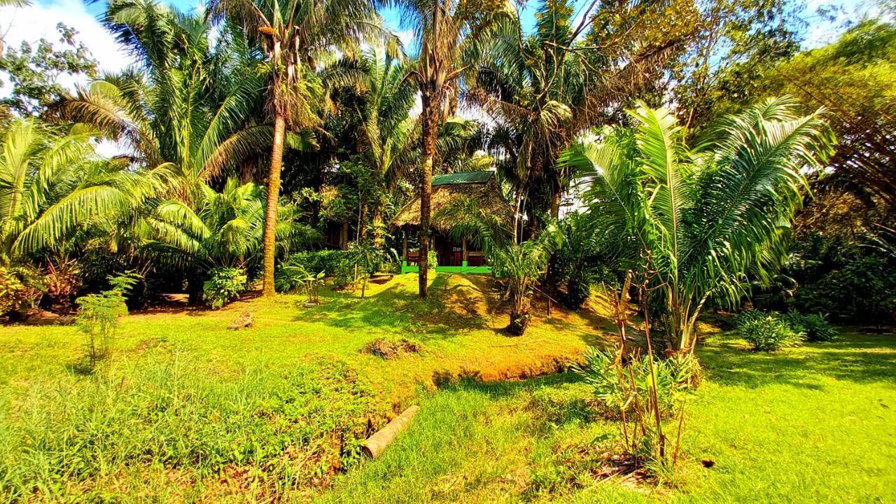 Encanto Lodge Drake Bay Ngoại thất bức ảnh