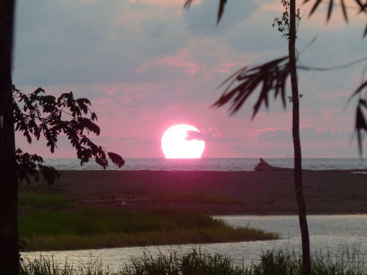 Encanto Lodge Drake Bay Ngoại thất bức ảnh