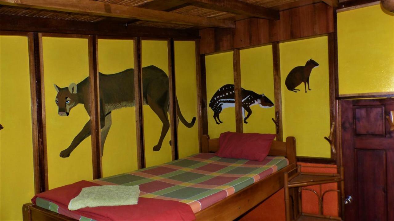 Encanto Lodge Drake Bay Ngoại thất bức ảnh