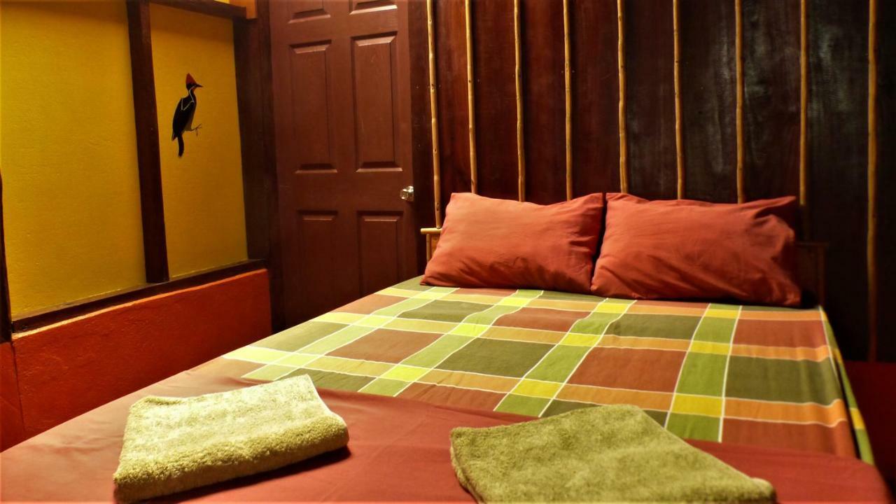 Encanto Lodge Drake Bay Ngoại thất bức ảnh