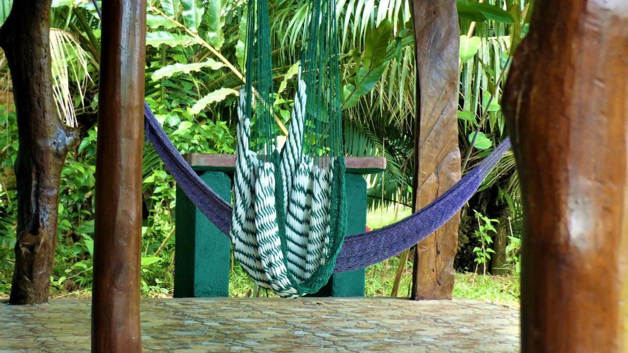Encanto Lodge Drake Bay Ngoại thất bức ảnh