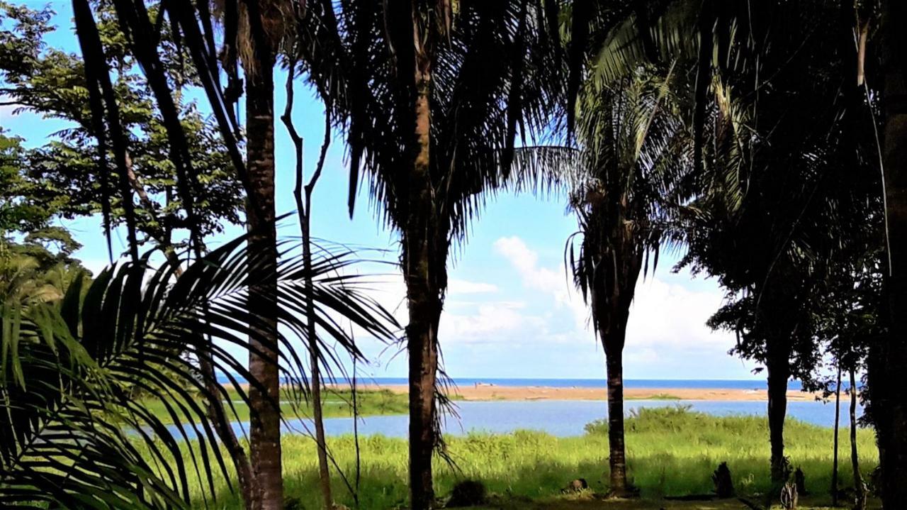 Encanto Lodge Drake Bay Ngoại thất bức ảnh