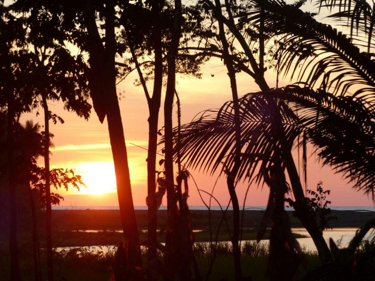 Encanto Lodge Drake Bay Ngoại thất bức ảnh