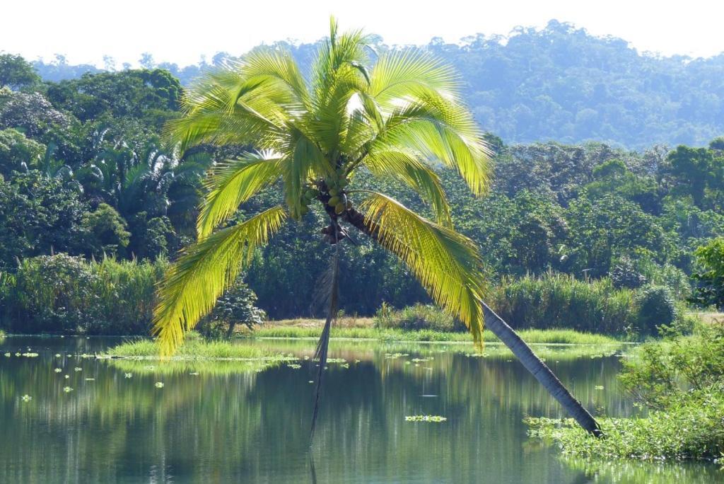 Encanto Lodge Drake Bay Ngoại thất bức ảnh